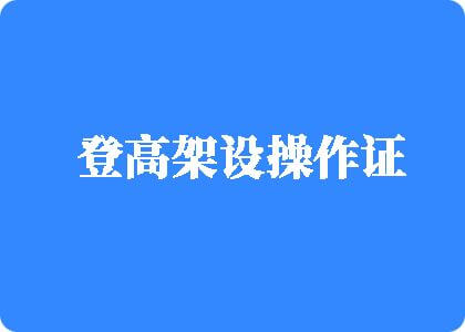 欧美黄网站操登高架设操作证